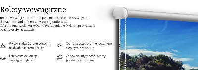 Rollo wasserfall design