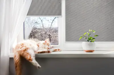 Fensterrollo in der Farbe grauer Rauch