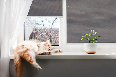 Rollo Fenster mit Motiv gemalter Himmel
