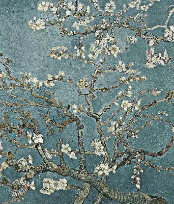 Fensterrollo mit Zweigen auf blauem Hintergrund