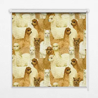 Fensterrollo mit dem Motiv einer Alpakaherde