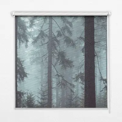 Fensterrollo für den Innenbereich mit dem Motiv Wald bei Nacht