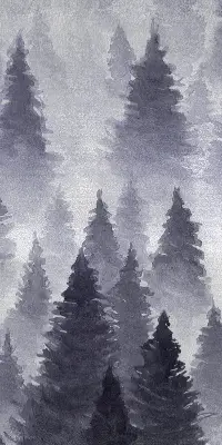 Rollo Fenster mit Nebelwald Motiv