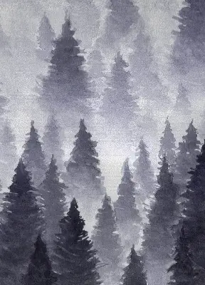 Rollo Fenster mit Nebelwald Motiv