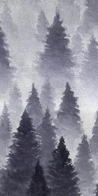 Rollo Fenster mit Nebelwald Motiv