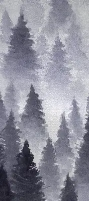 Rollo Fenster mit Nebelwald Motiv