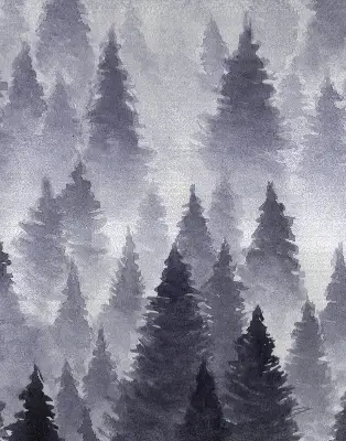 Rollo Fenster mit Nebelwald Motiv