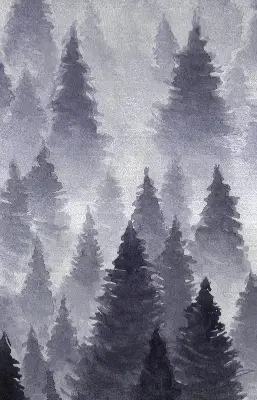 Rollo Fenster mit Nebelwald Motiv