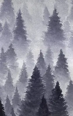 Rollo Fenster mit Nebelwald Motiv