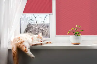 Fensterrollo in der Farbe Rot