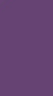 Rollo in der Farbe Lila
