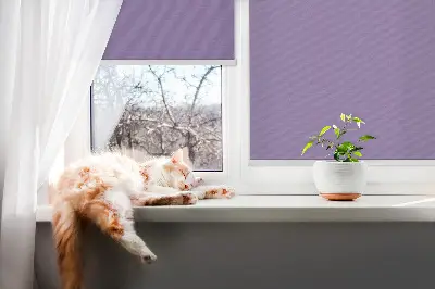Fensterrollo in Lila