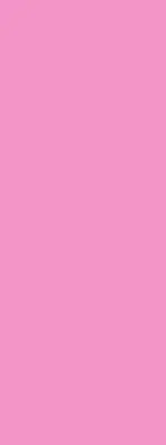 Fensterrollo in der Farbe Rosa