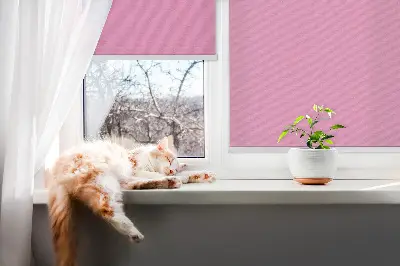 Fensterrollo in der Farbe Rosa
