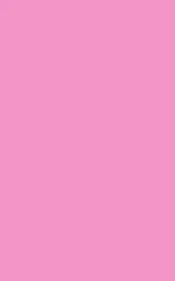 Fensterrollo in der Farbe Rosa