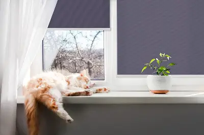 Fensterrollo für den Innenbereich in Dunkelviolett