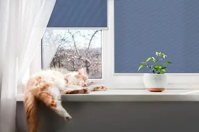 Fensterrollo in der Farbe Marine