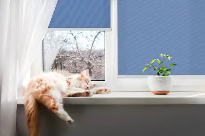 Fensterrollo in der Farbe Blau