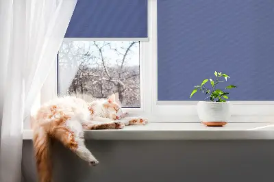 Fensterrollo in der Ausführung Marine