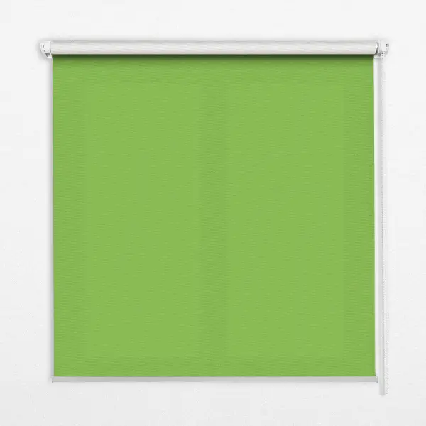 Fensterrollo in der Farbe Grün
