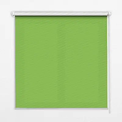 Fensterrollo in der Farbe Grün
