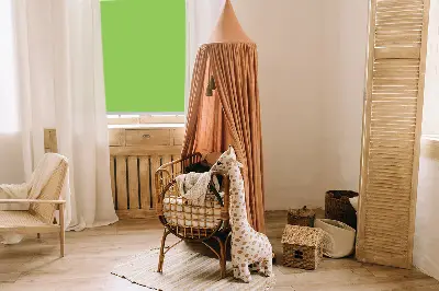 Fensterrollo in der Farbe Grün