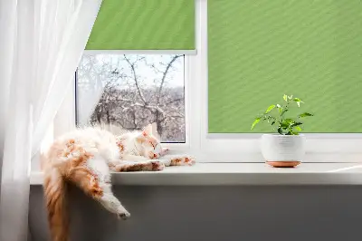 Fensterrollo in der Farbe Grün