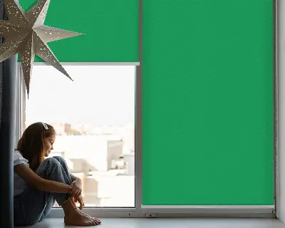 Fensterrollo für den Innenbereich in Grün