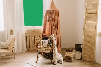 Fensterrollo für den Innenbereich in Grün