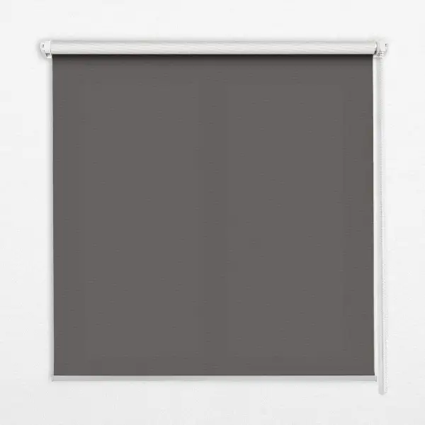Fensterrollo in der Farbe Grau