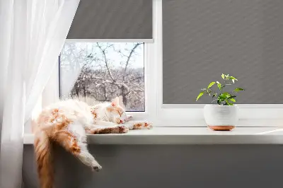 Fensterrollo in der Farbe Grau