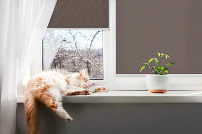 Fensterrollo für den Innenbereich in Braun