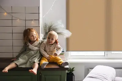 Rollo für Fenster in der Farbe Beige