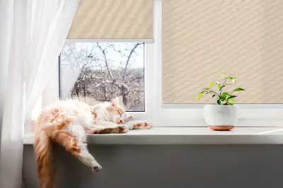 Fensterrollo in der Farbe Beige