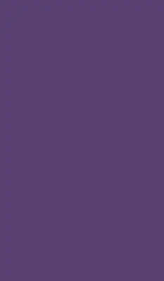 Rollo in der Farbe Lila