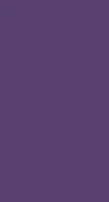 Rollo in der Farbe Lila