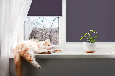 Fensterrollo in der farbe schwarz