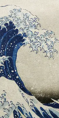 Fensterrollo in der Ausführung Welle