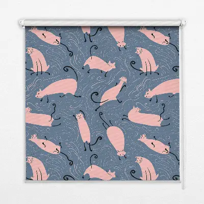 Fensterrollo mit Motiv rosa Katzen