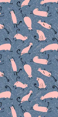 Fensterrollo mit Motiv rosa Katzen