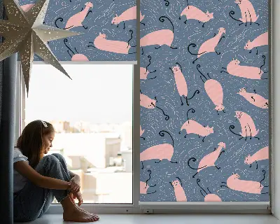 Fensterrollo mit Motiv rosa Katzen