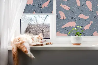 Fensterrollo mit Motiv rosa Katzen