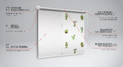Fensterrollo innen mit Kakteenmotiv
