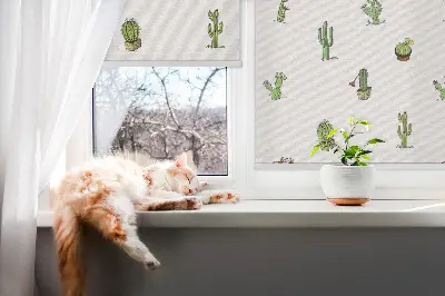 Fensterrollo innen mit Kakteenmotiv