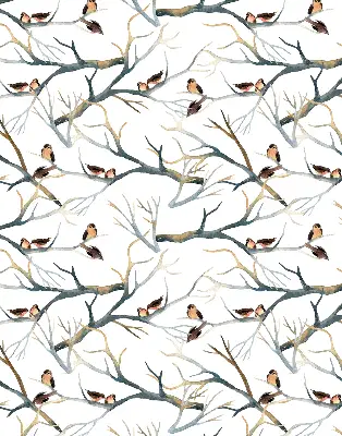 Rollo Fenster mit Motiv Vögel auf einem Baum
