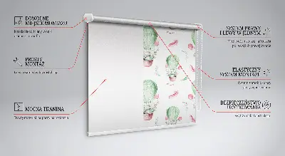 Fensterrollo für den Innenbereich in grüner Farbe