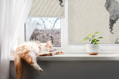 Fensterrollo in der Ausführung Schwarze Kontinente