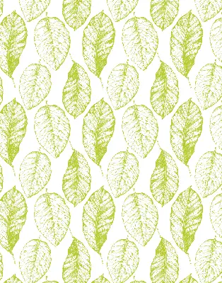 Fensterrollo für den Innenbereich in der Ausführung Limettenblätter
