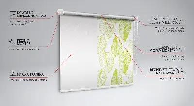 Fensterrollo für den Innenbereich in der Ausführung Limettenblätter