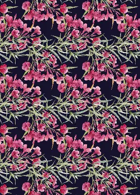 Fensterrollo mit dem Motiv einer exotischen Blume